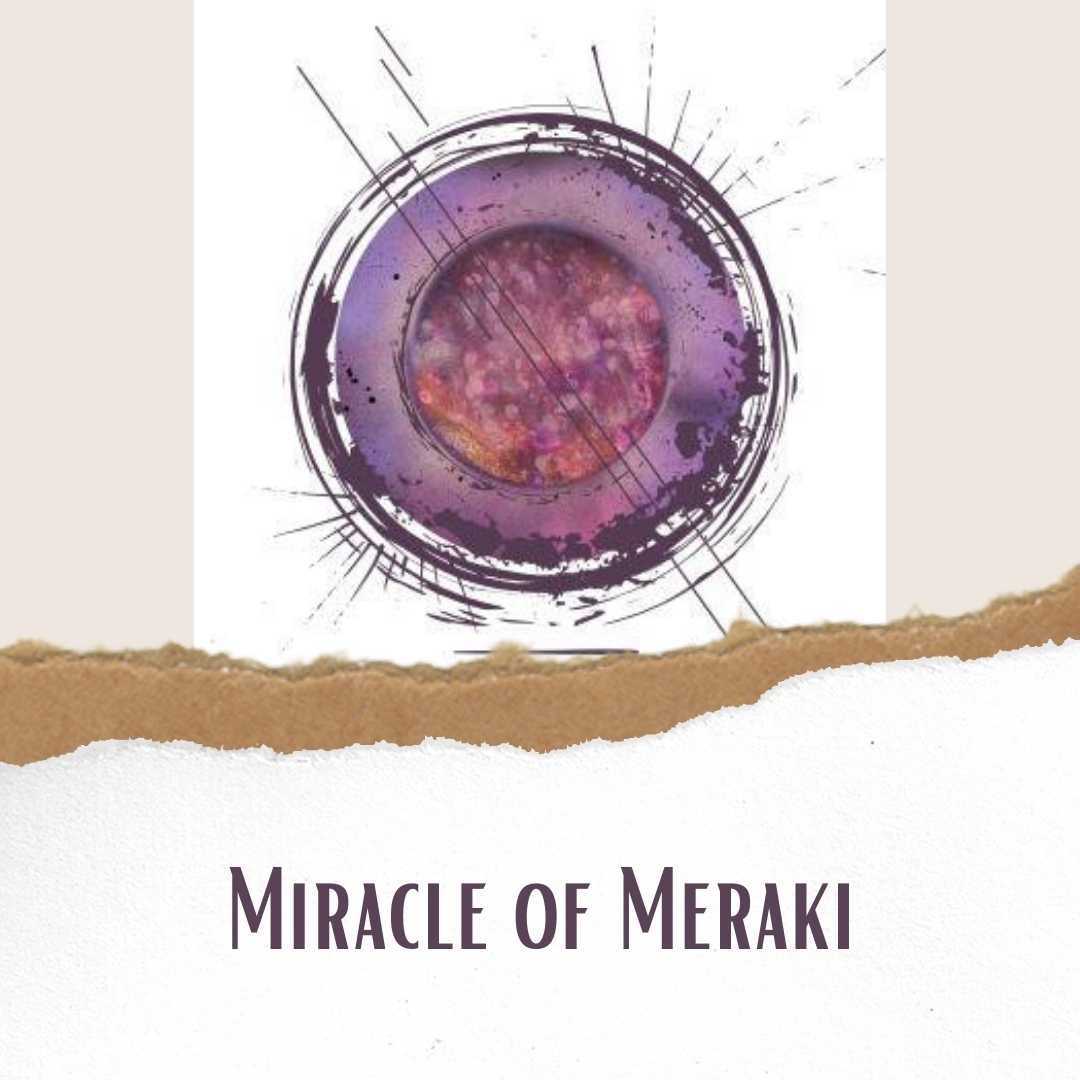 Miracle of Meraki