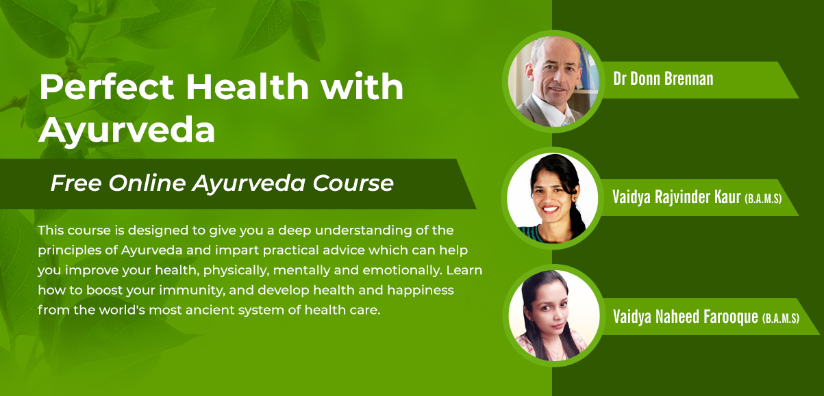 Free Seven Lesson Online  Ayurveda Course